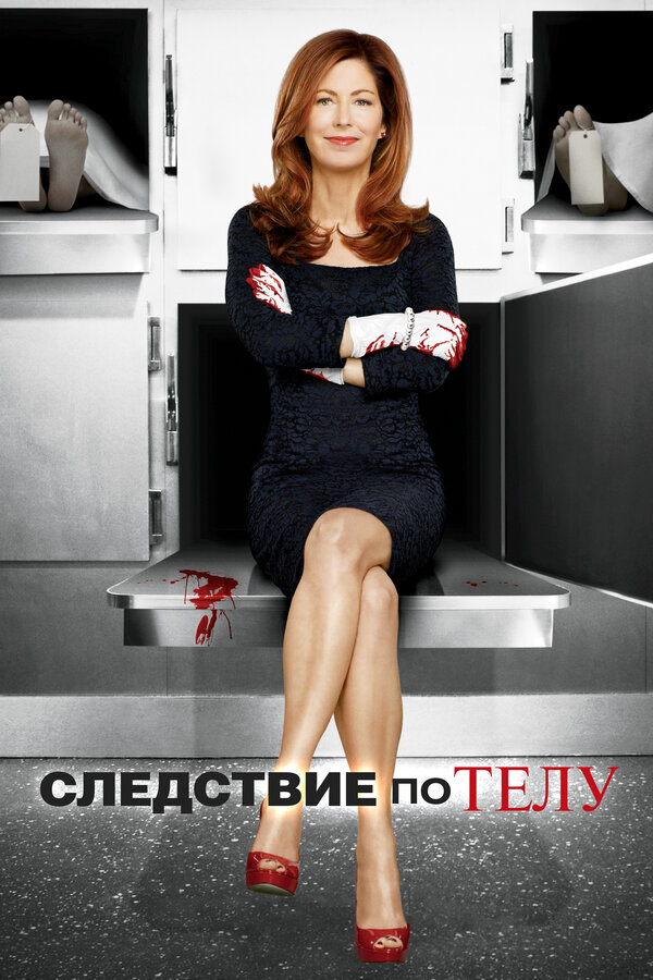 Следствие по телу - постер